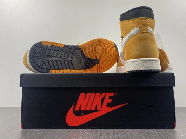 Reps TBK 1 Jordan High Element Light DB2889-700 Curry Gore-Tex 0806
